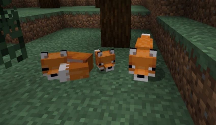 Two foxes in a minecraft game.