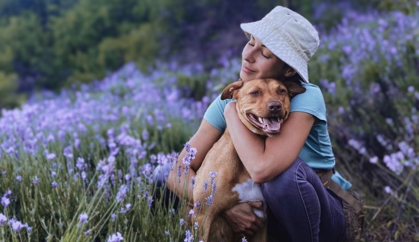 A woman is hugging her dog in a field of lavender.