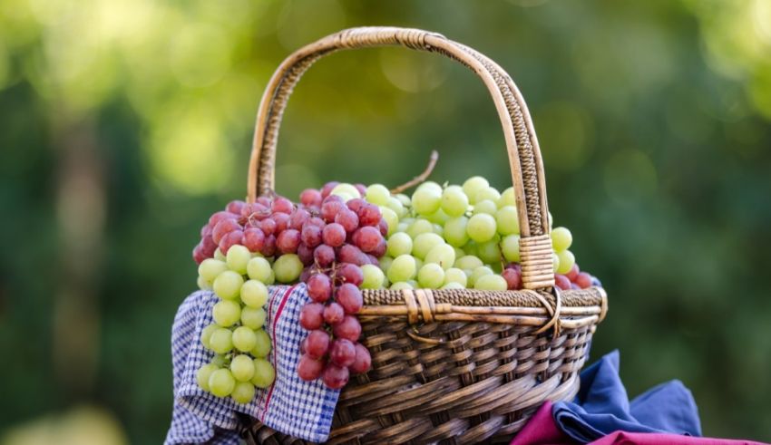 A basket full of grapes on a table.