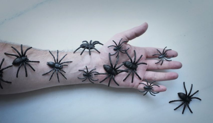 A person's hand with a bunch of black spiders on it.