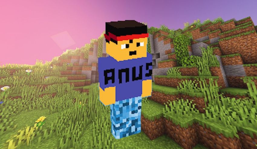 An image of a minecraft character standing in a field.