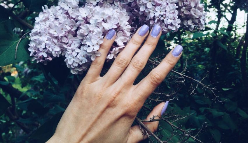 A hand with purple painted nails.