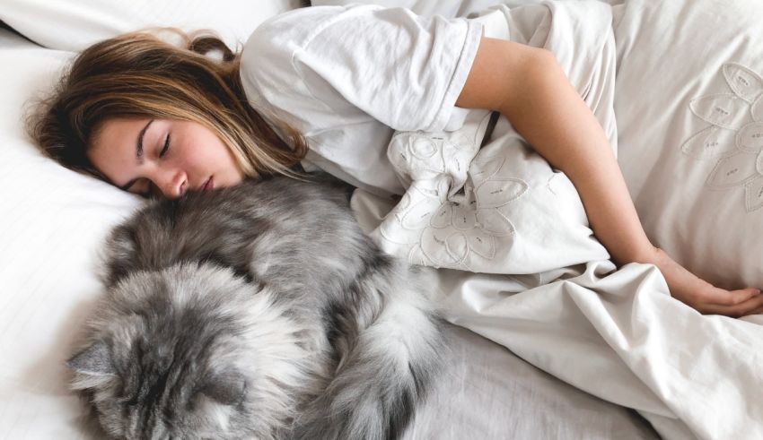 A woman sleeping with her cat in bed.