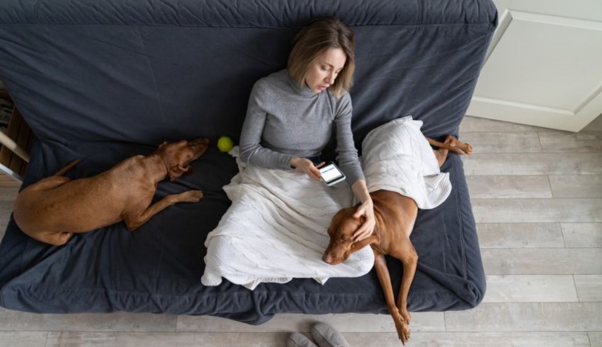 A woman is sitting on a couch with two dogs.