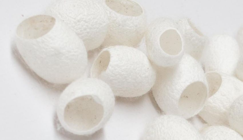 A pile of white felt balls on a white surface.