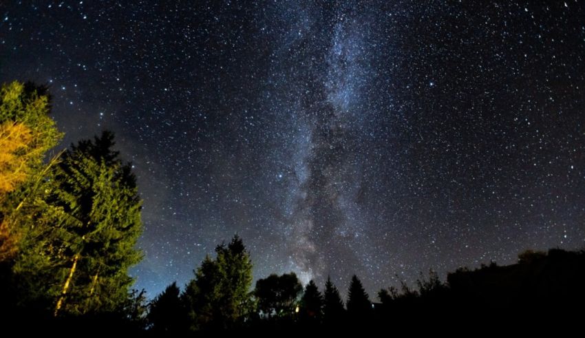 The milky in the night sky above a forest.