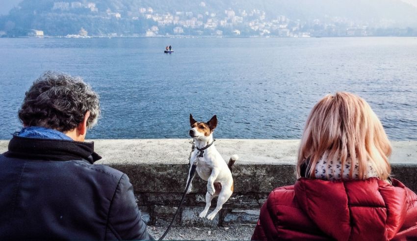 Two people and a dog on a leash on a wall overlooking lake como.