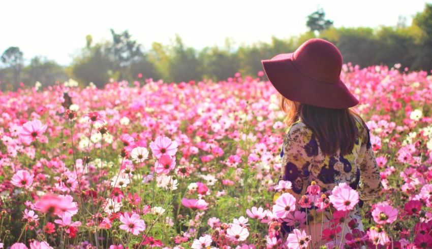 A woman in a hat walks through a field of pink flowers.