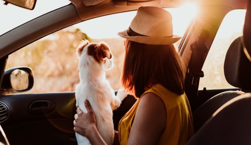 A woman is sitting in a car with her dog.