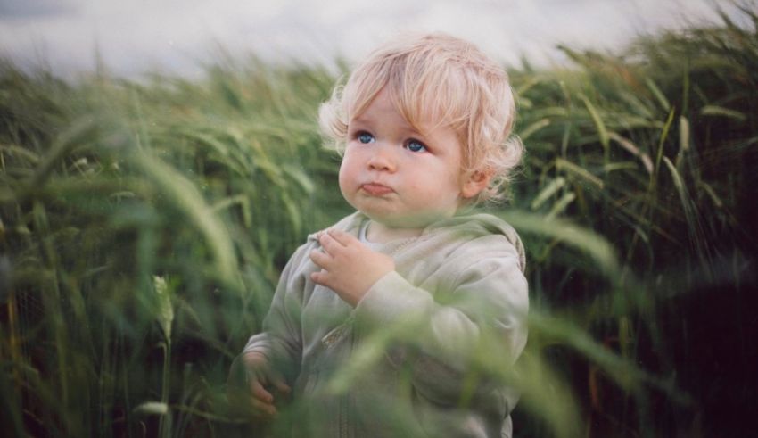 A young child standing in a field of wheat.