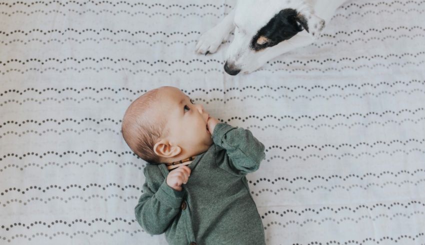 A baby is laying on a blanket next to a dog.