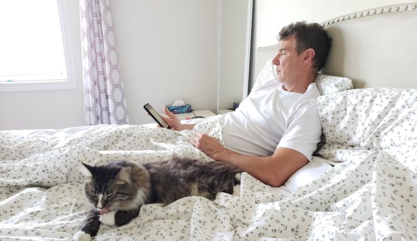 A man laying in bed with a cat.