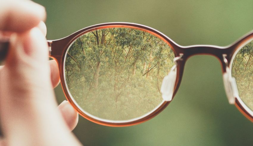 A person holding a pair of glasses with trees reflected in them.