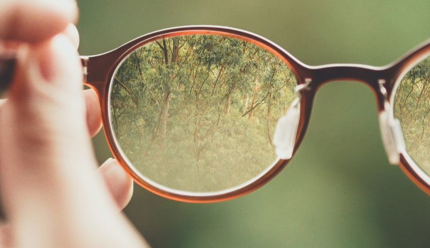 A person holding a pair of glasses with trees reflected in them.