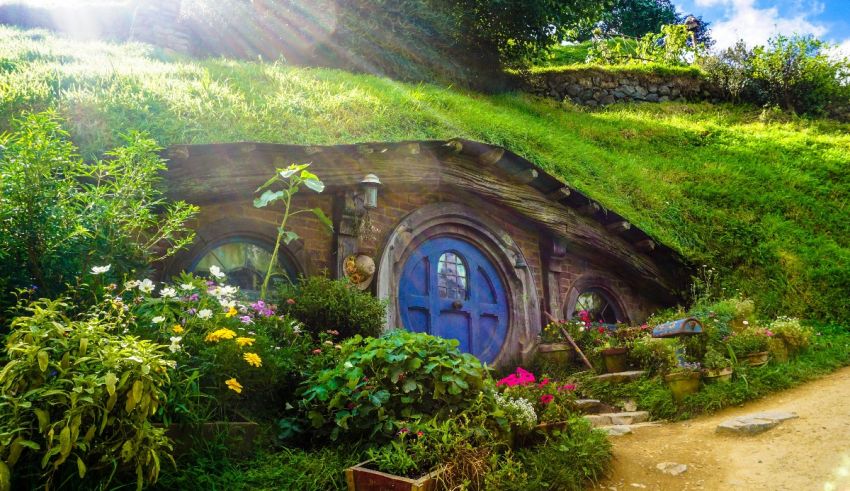 Hobbit house in new zealand.