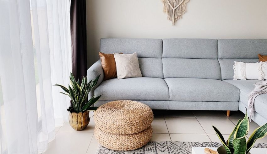 A couch and a plant in a room.