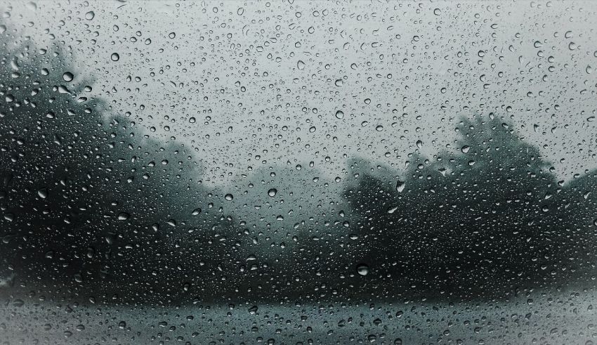 Rain drops on a window.