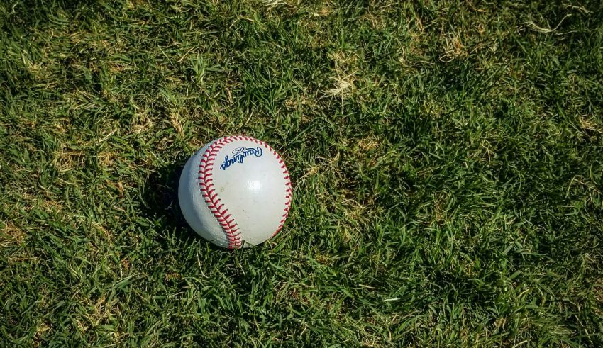 A baseball in the grass on a sunny day.