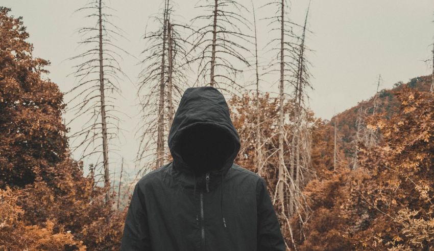 A person in a black hoodie standing in a forest.