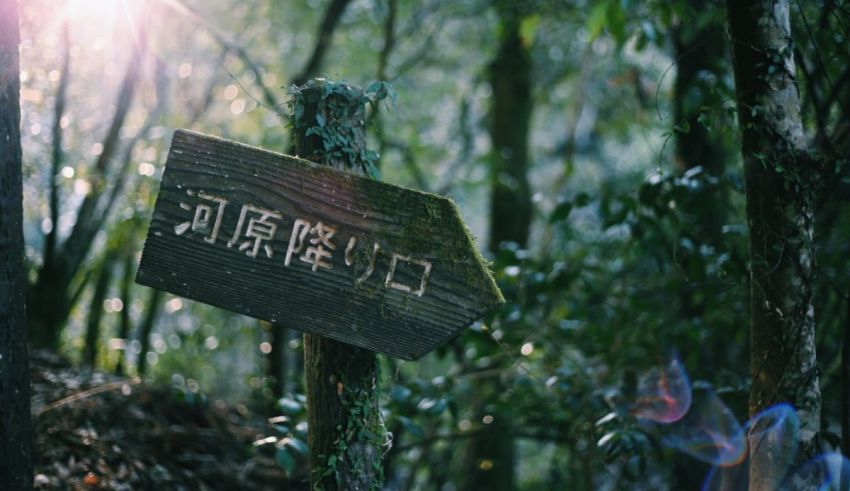 A sign in the woods with chinese writing.