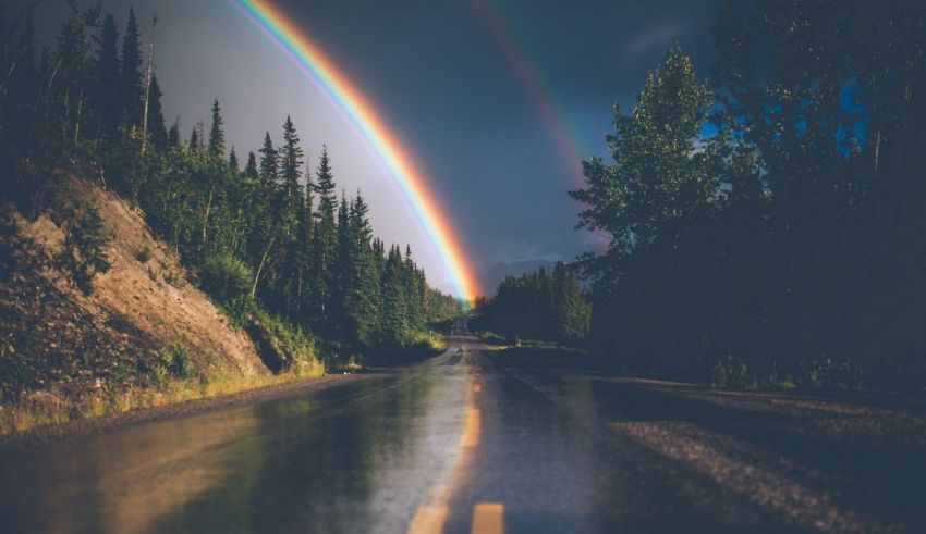 A rainbow over a road with trees in the background.