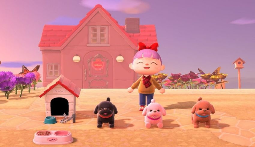 Animal crossing new leaf.