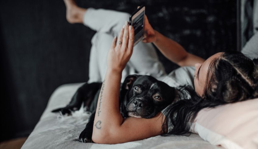 A woman laying on a bed with her dog.