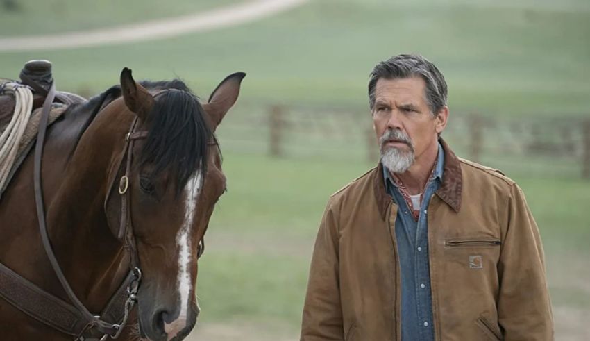 A man standing next to a horse in a field.