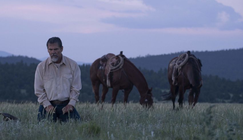 A man kneeling in a field with horses in the background.