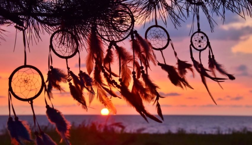 Dream catchers hanging from a tree at sunset.
