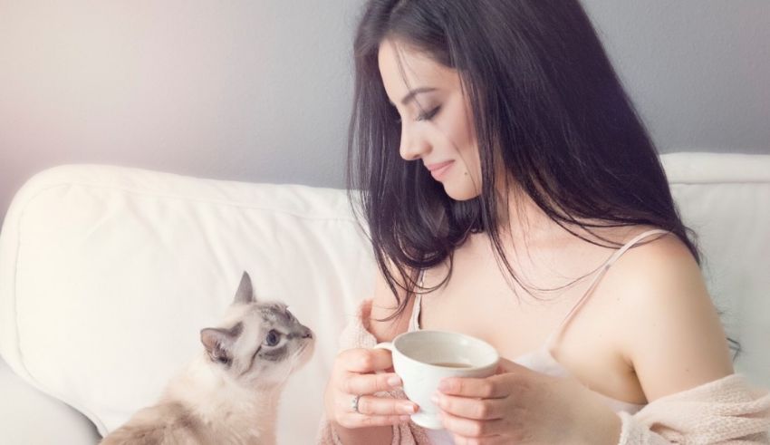 A woman is sitting on a couch with a cup of coffee and a cat.