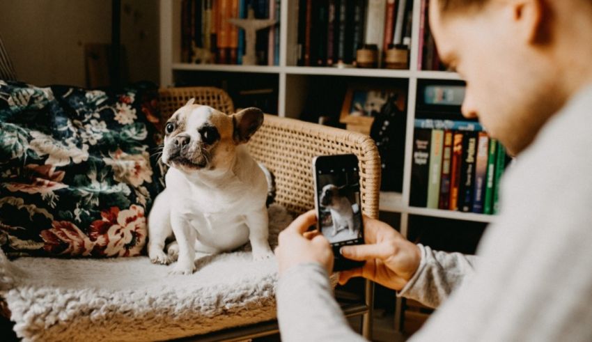 A man is taking a picture of his dog on a couch.