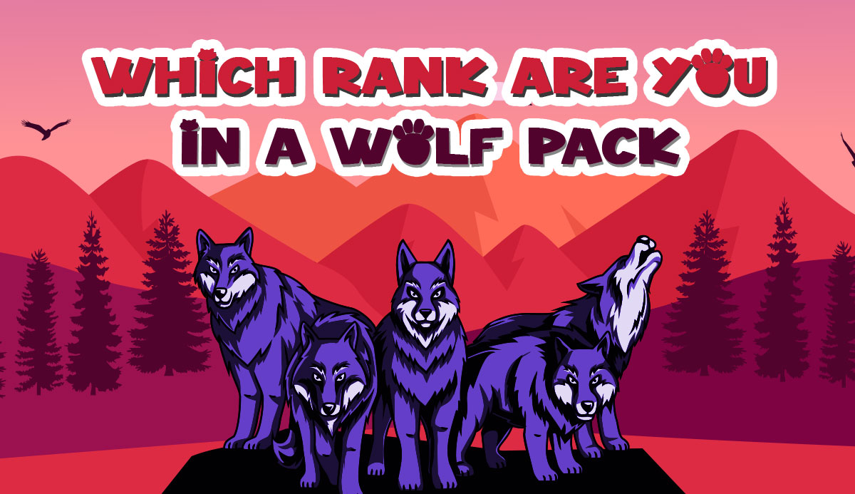 cute anime wolf pack