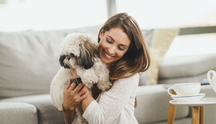 A woman is holding a dog while sitting on the couch.