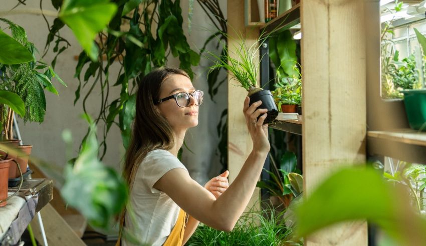 A woman is taking a picture of plants in a greenhouse.