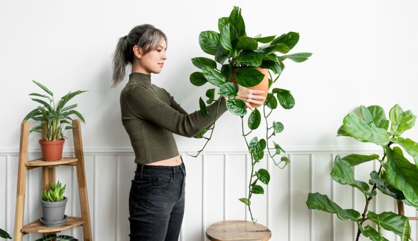 A woman is holding a potted plant in front of a white wall.