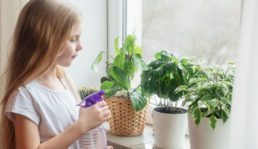 A little girl spraying a plant on a window sill.