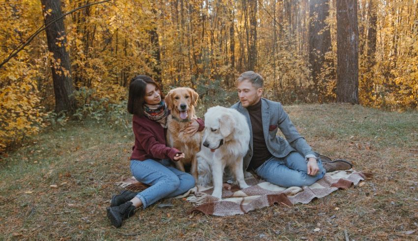 Couple sitting on the ground with their dog in the autumn forest.