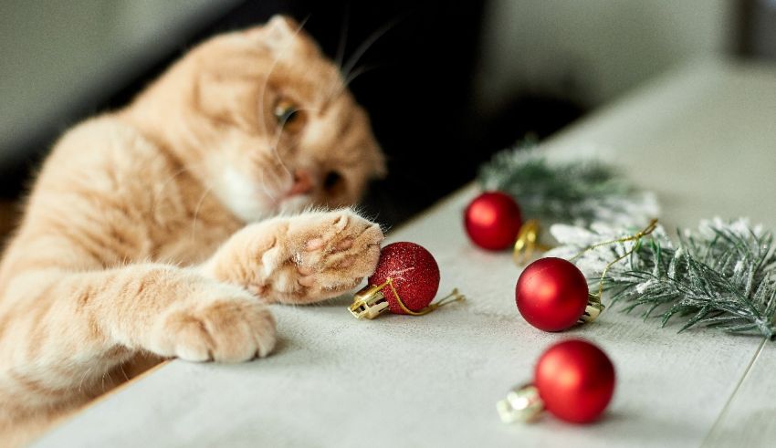 A cat playing with christmas ornaments on a table.