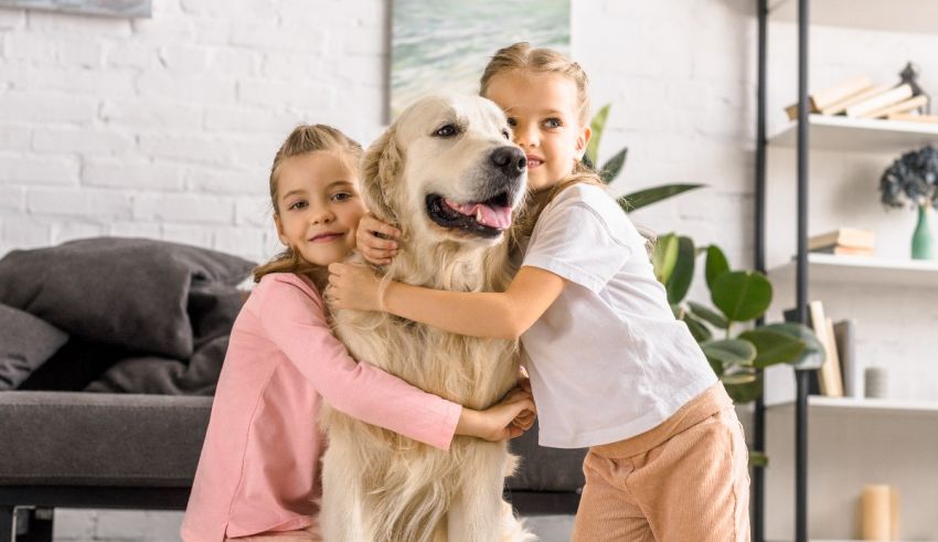 Two girls hugging a dog in a living room.