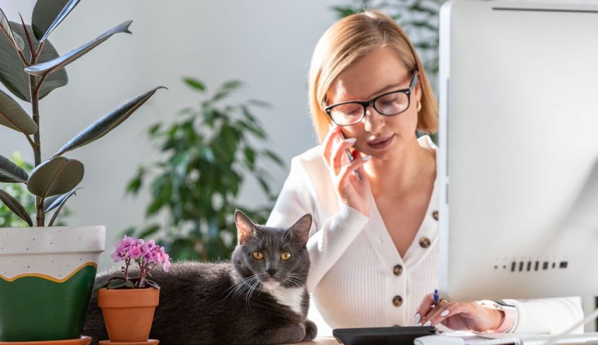 A woman is sitting at her computer with a cat in front of her.