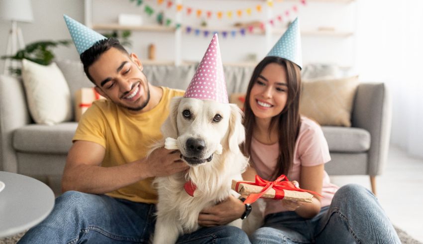 A couple with a dog sitting on a couch and celebrating a birthday.