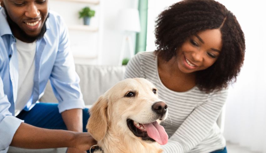 A man and woman petting their dog on the couch.