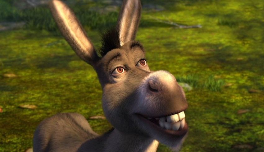 A donkey is smiling in a grassy field.