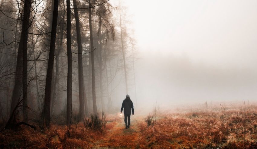 A person walking through a foggy forest.