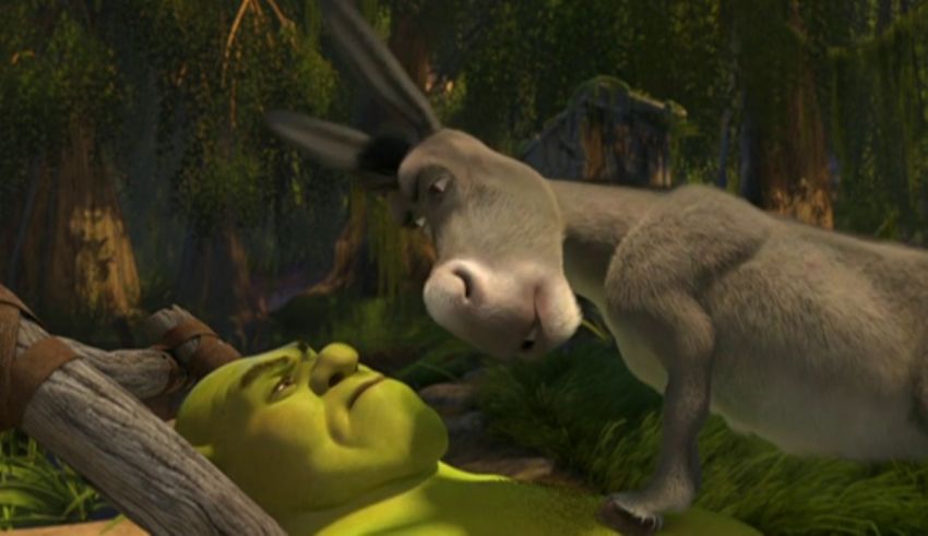 A donkey and a donkey in the woods.