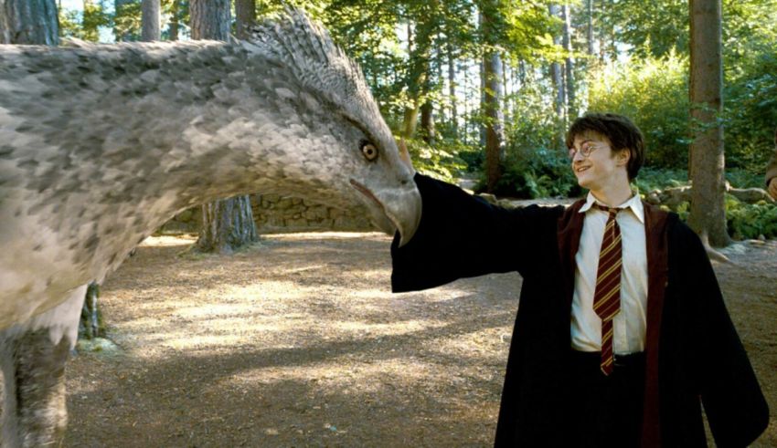Harry potter and the eagle.