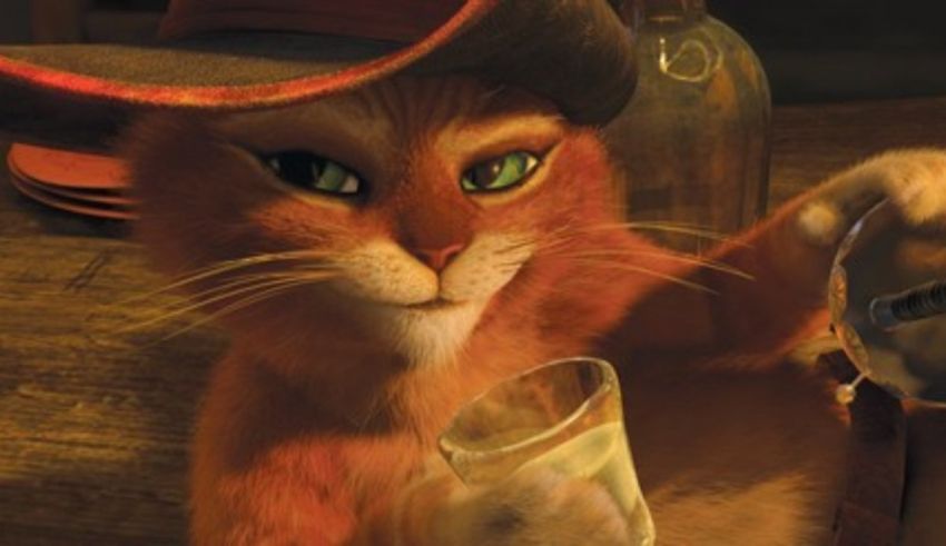 A cat wearing a cowboy hat and holding a glass.