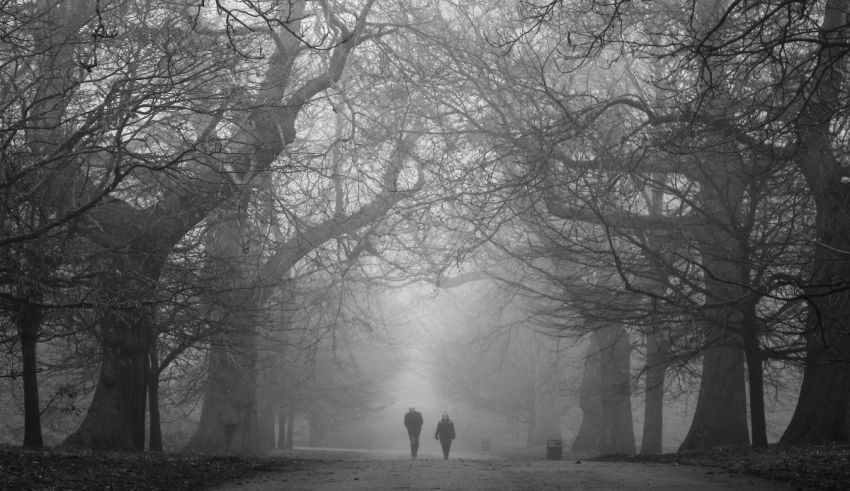 A black and white photo of two people walking through a foggy forest.