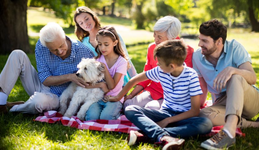 A group of people sitting on a blanket in a park with a dog.